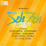 seh feh riddim (tj records)